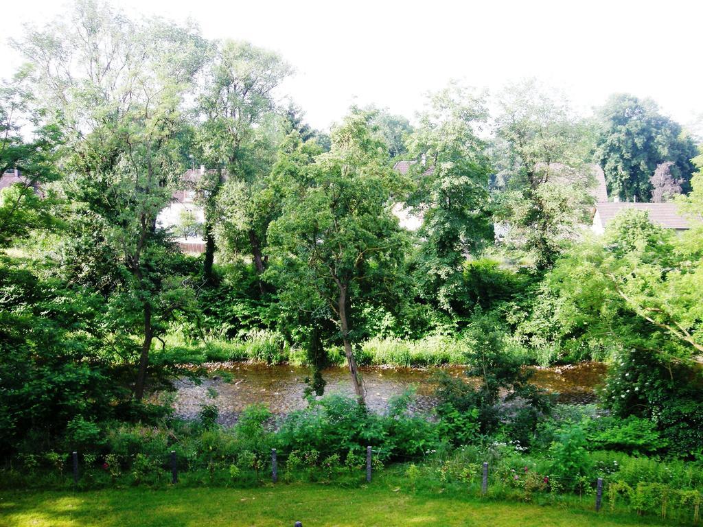 Aux Berges De La Thur Staffelfelden Exteriör bild