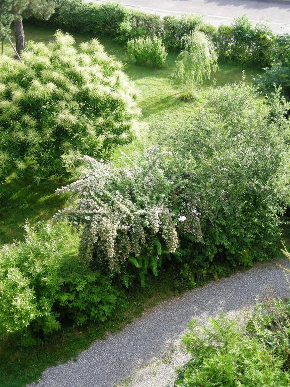 Aux Berges De La Thur Staffelfelden Exteriör bild