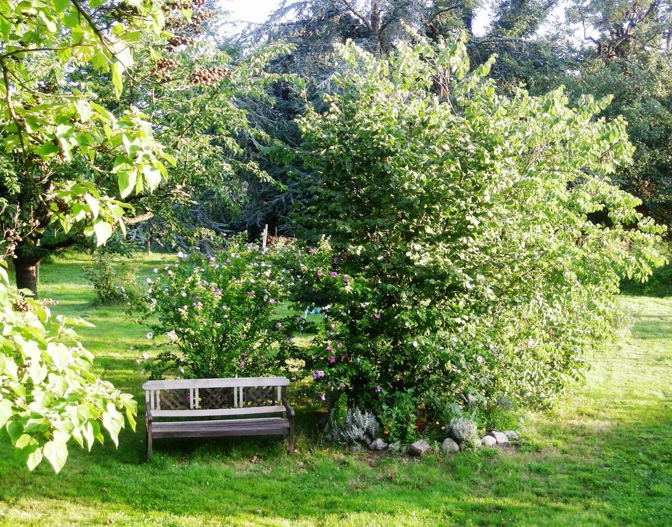 Aux Berges De La Thur Staffelfelden Exteriör bild